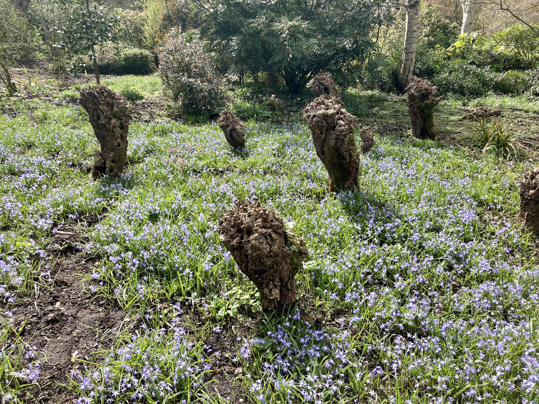 4D56FF40-FAF5-43BB-940C-0F45B0D189DB