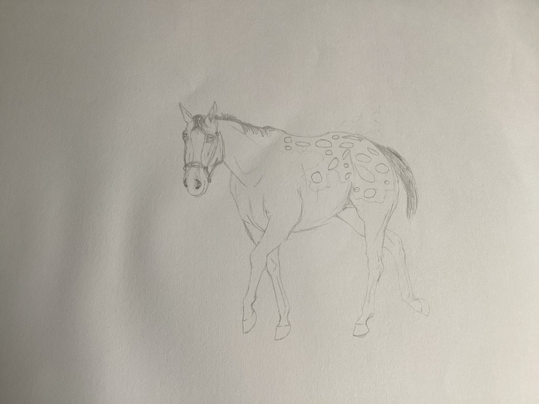 BEF6672A-9539-4233-B972-2AD20D4CAEF3