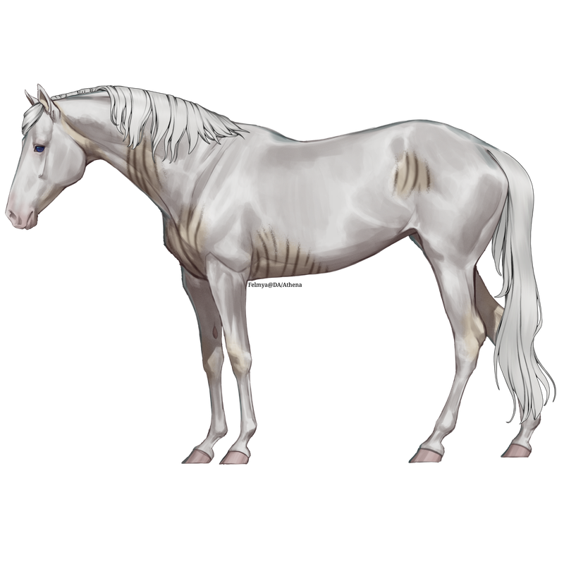 Untitled88-20250415113447.png