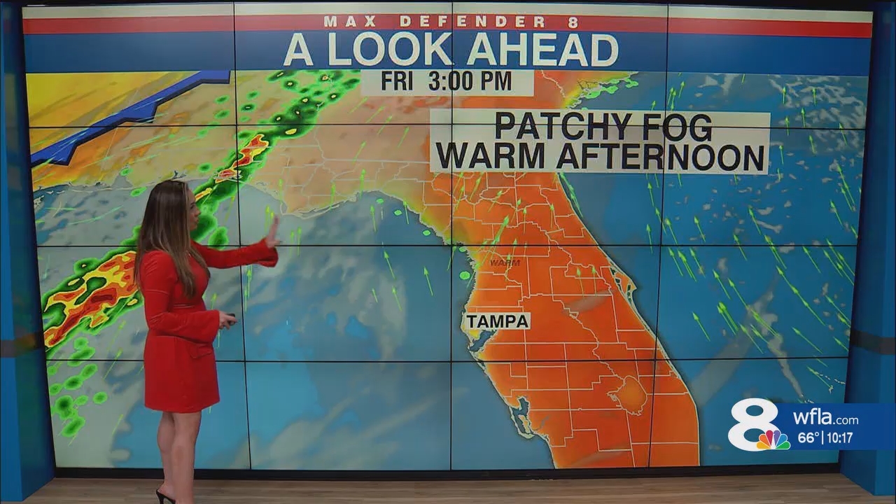 NewsChannel 8 News at 1000pm_20250131_03000330.ts_snapshot_18.40.362