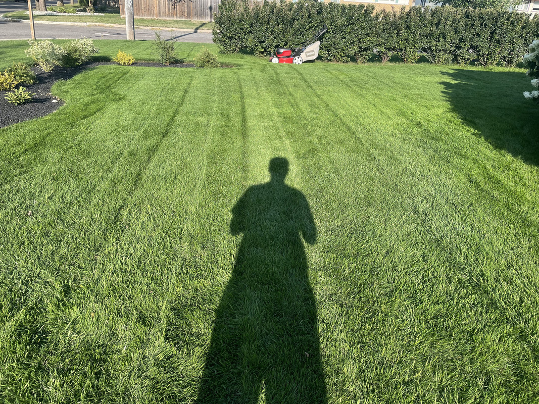 43365647-1110-4E54-AAA1-4F909214B76A