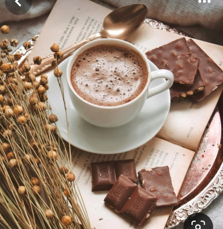 Screenshot_20231110_231903_Pinterest