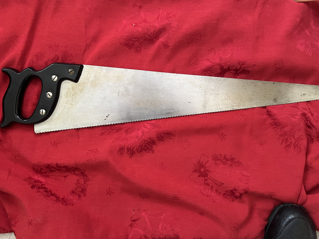 559F9CBE-94FC-46C6-AAA0-191F6237A367_1_201_a