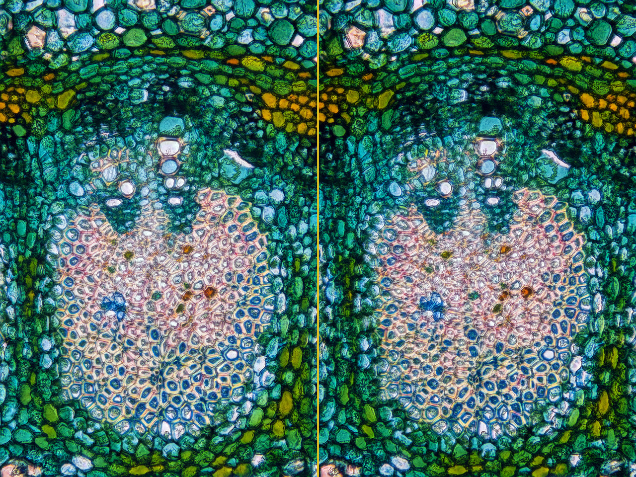 Stero 3 5 Cross 4K CA