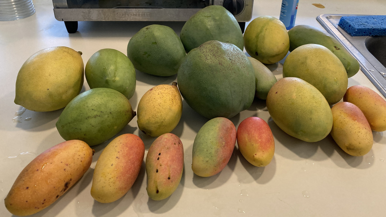 85750034-4864-45A9-8173-D99C056A6E26