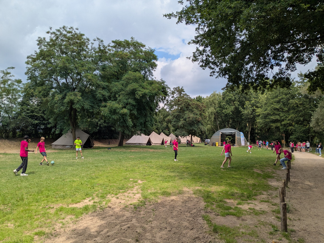 Трое в Амстердаме, не считая собаки. Переезд в Нидерланды.
