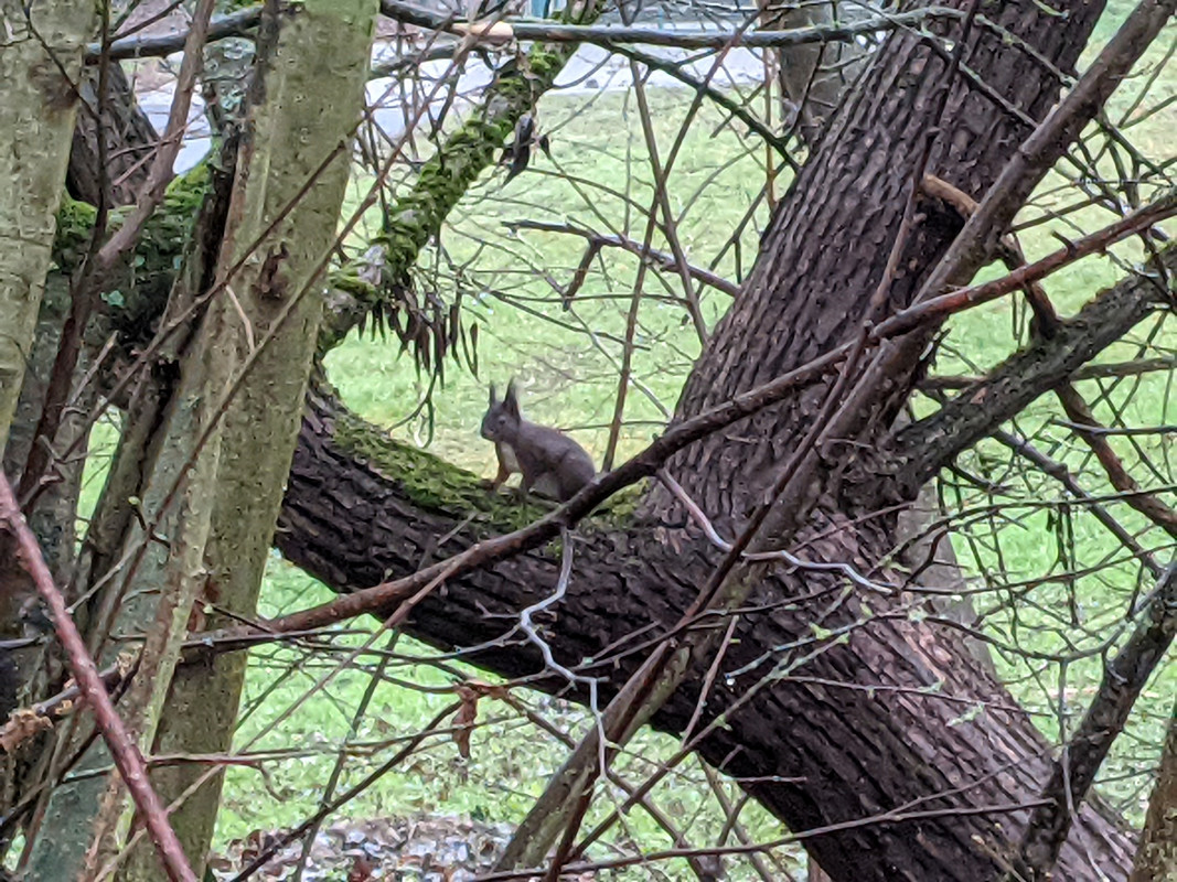 PXL_20201213_111458626