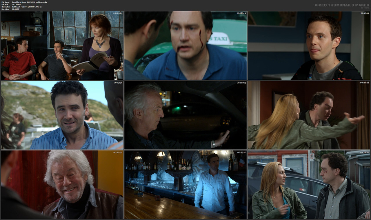 Republic of Doyle S01E05 Hit and Rum.mkv