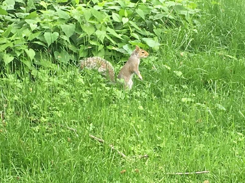 88E20B4D-4941-4434-8D42-36EEC62DBA19