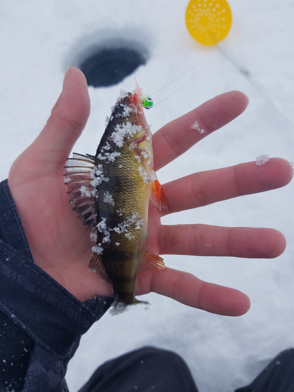 20190218_115110