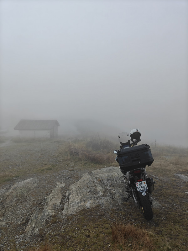 IMG20261011124350.jpg