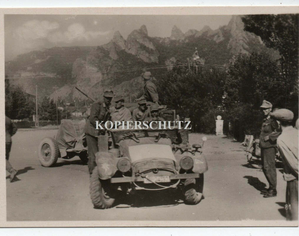 Russland Gebirgsjäger v. Kaukasus SDkfz PKW Kübel Emblem Flak Geschütz