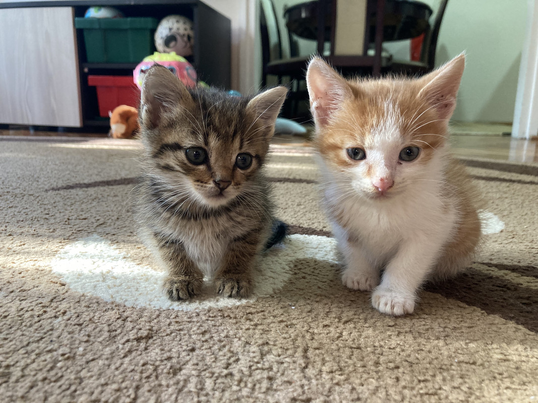 2E84C8B1-1F15-4BE4-A4FC-3AC4E8FC7B31