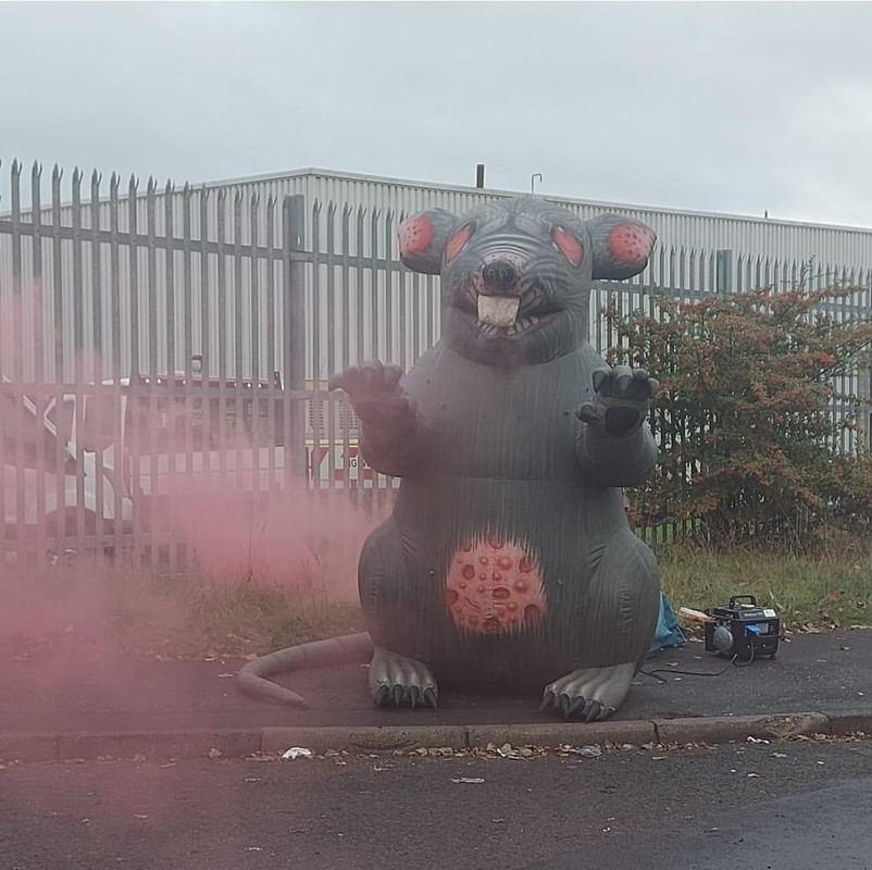 Brendan Rat IMG_0093