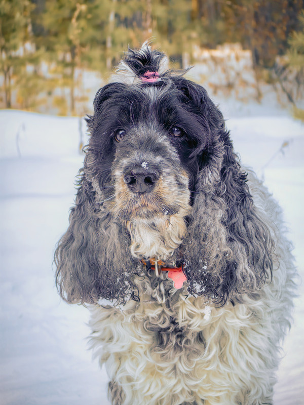 IMG_20250316_164159 (1)