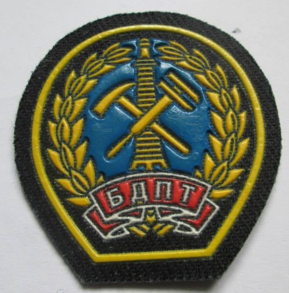 1384026_1376355965939119_415428592_n