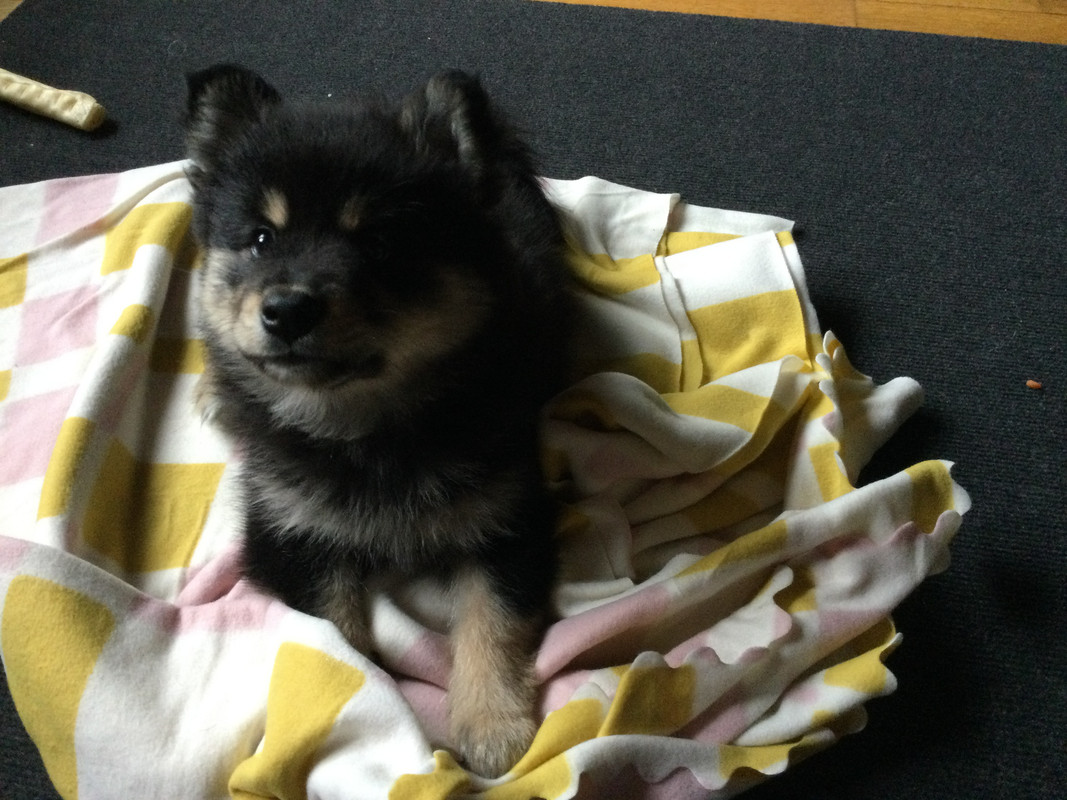 B5DAE21C-622C-4D42-BF21-F648E86D3B33