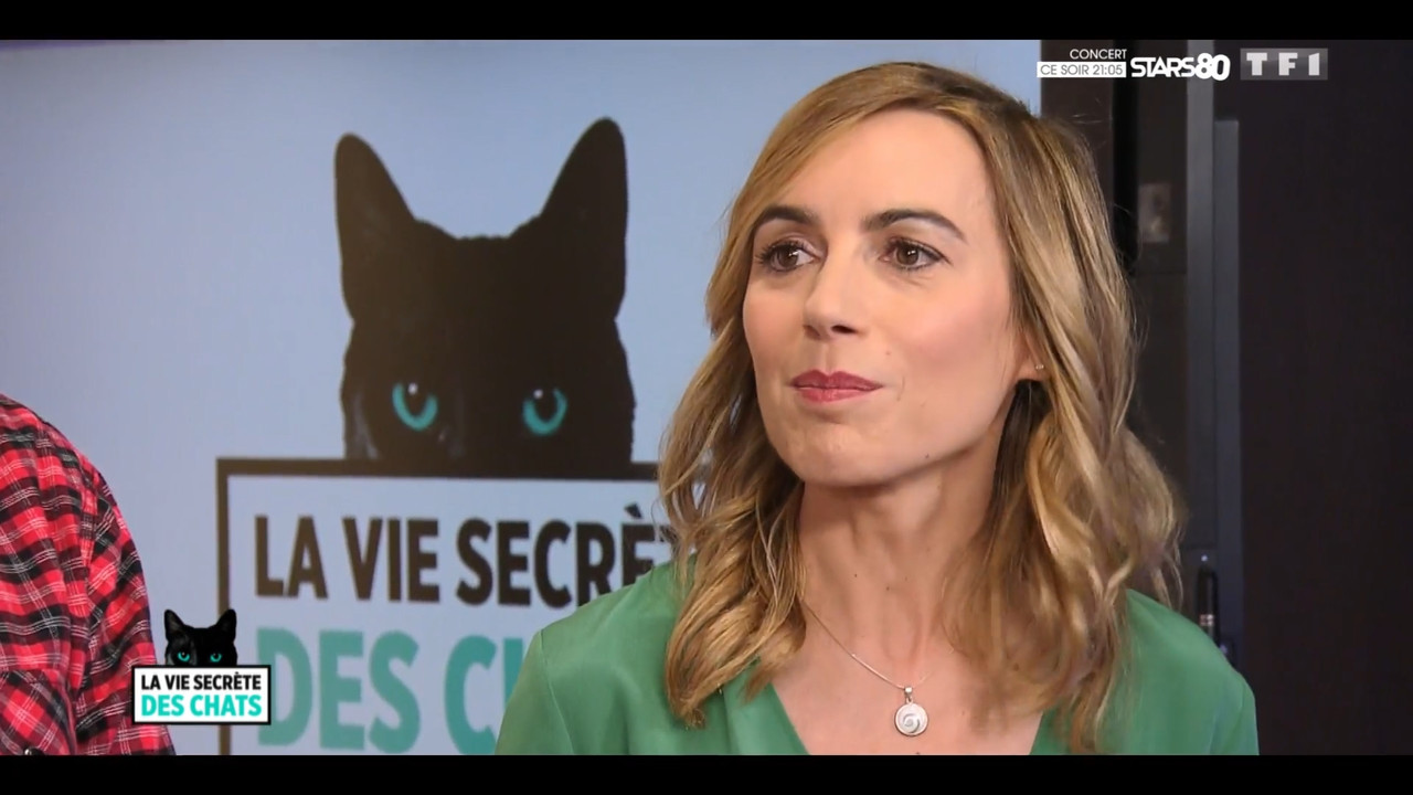 2020-05-30_10_35_TF1_La-vie-secrete-des-chats_Chats-et-sentiments-avec-Charlotte-Valan.mp4_snapshot_
