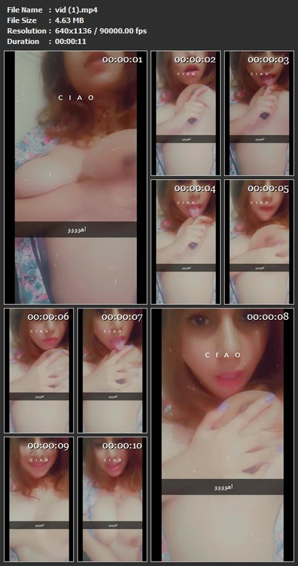 vid (1).mp4