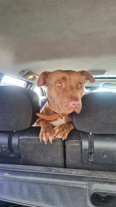 A9F8797A-3557-4E54-9605-848EDA4F4BBD