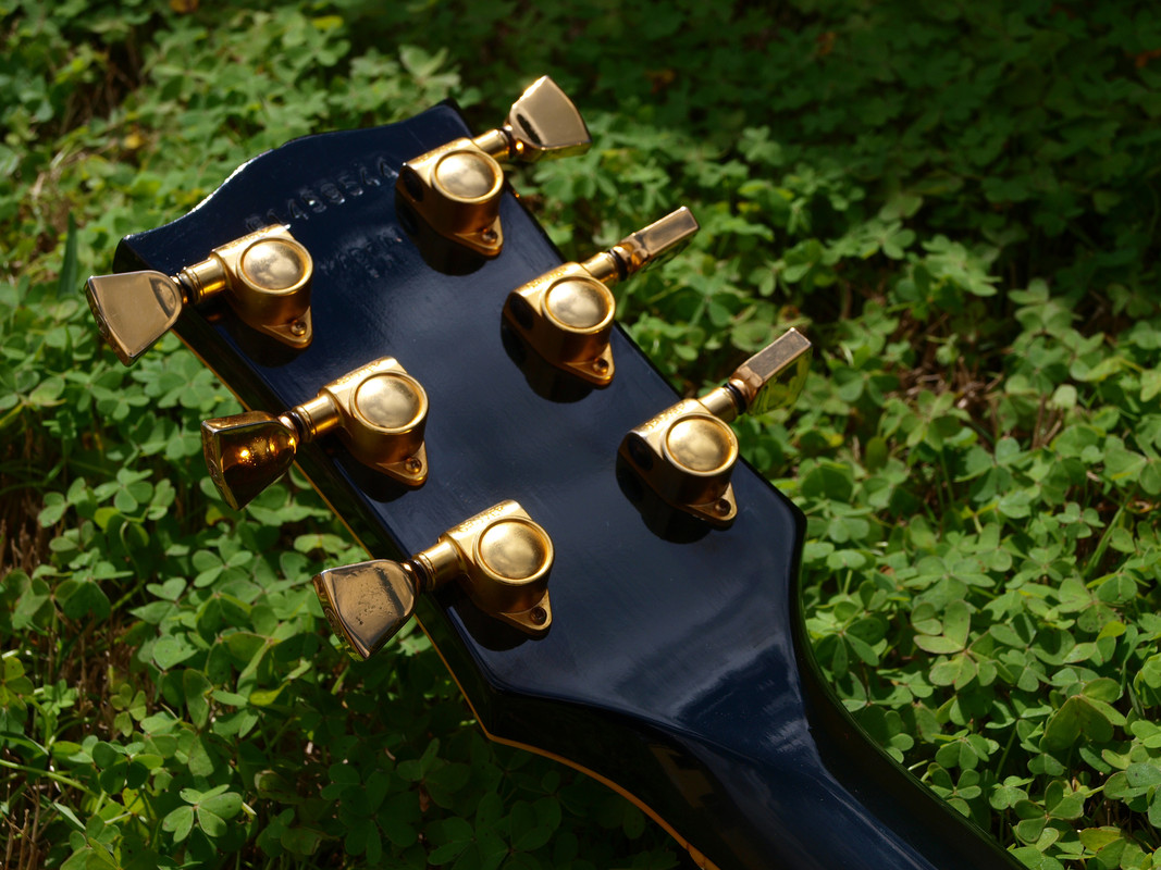 F7E4319D-B7DD-4D53-B030-3469916F468E