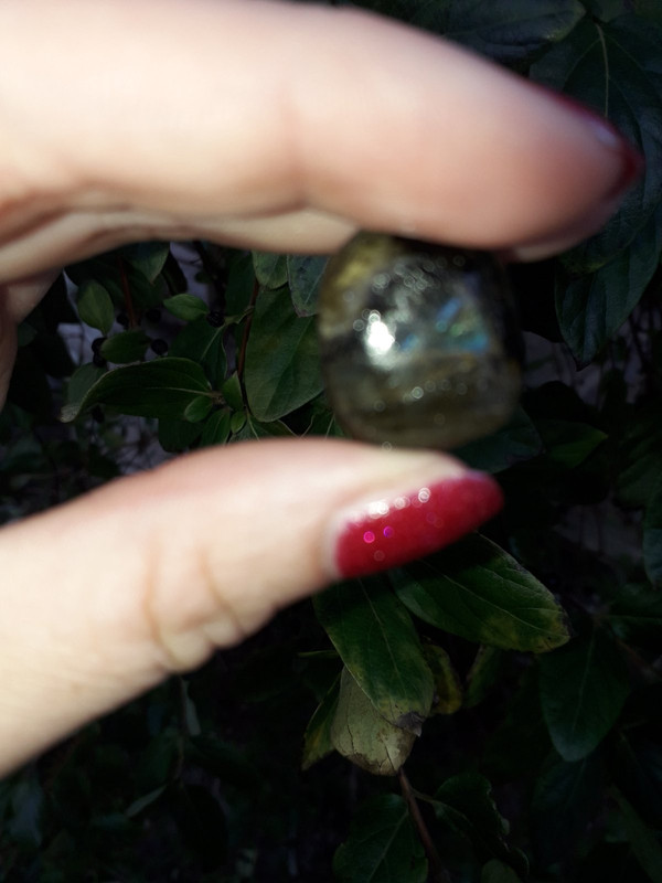 IMG-57ecb2ce9be7c26583abf466952ea0c2-V