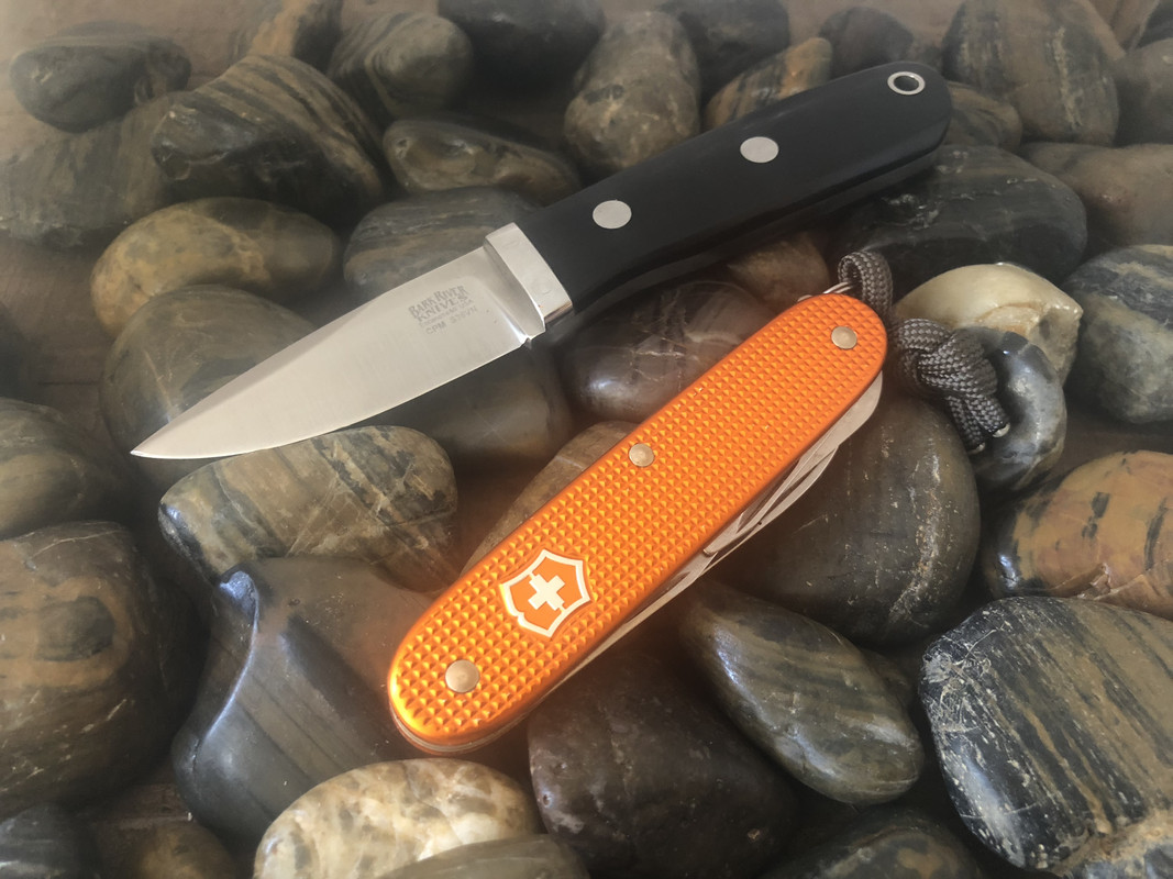 F44D1DC9-6E0A-402D-8FEA-8960901CAADA