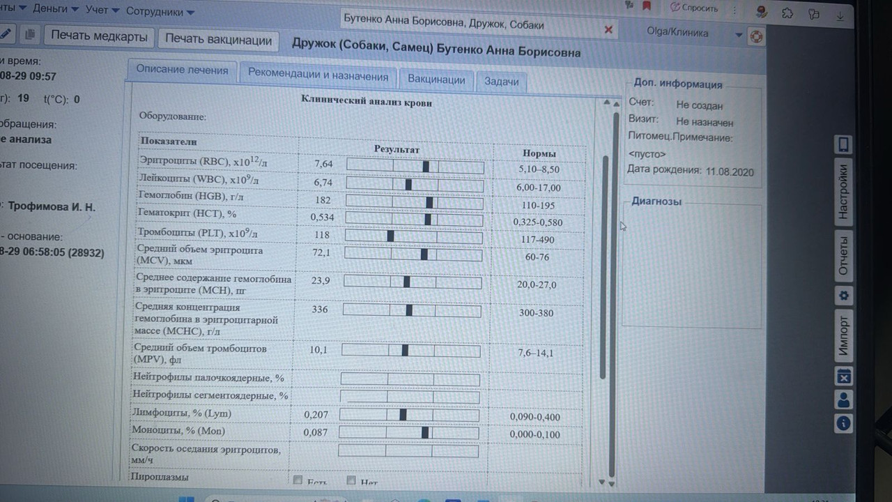 IMG-20250829-WA0353