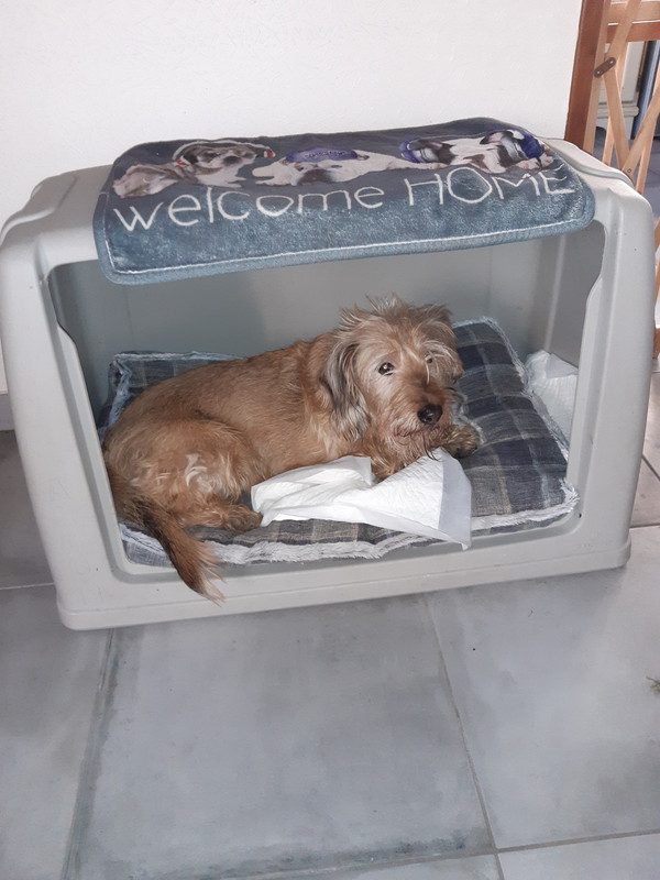 [Image: 20210228-171036.jpg]