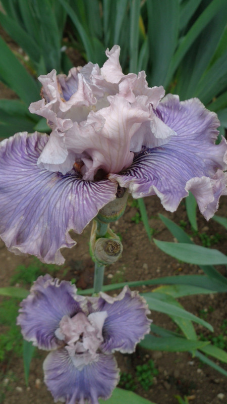DSC03371