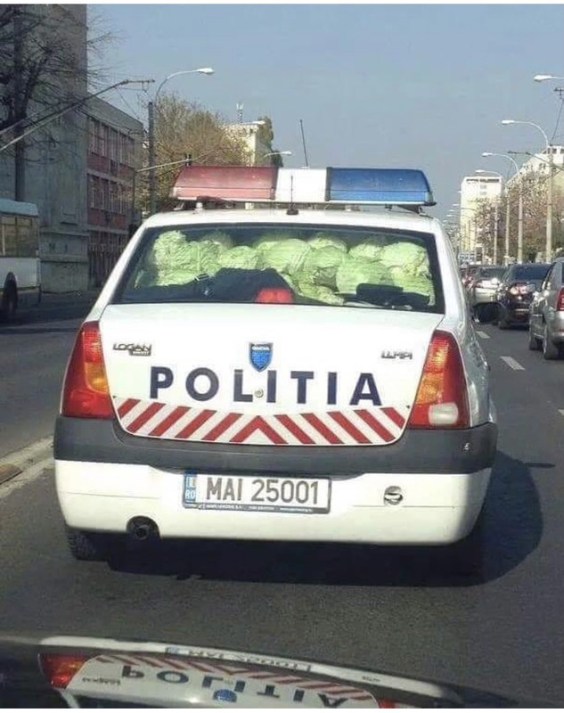 1B8CF04E-CDE0-482C-ADC0-7C4DE4BEDF01