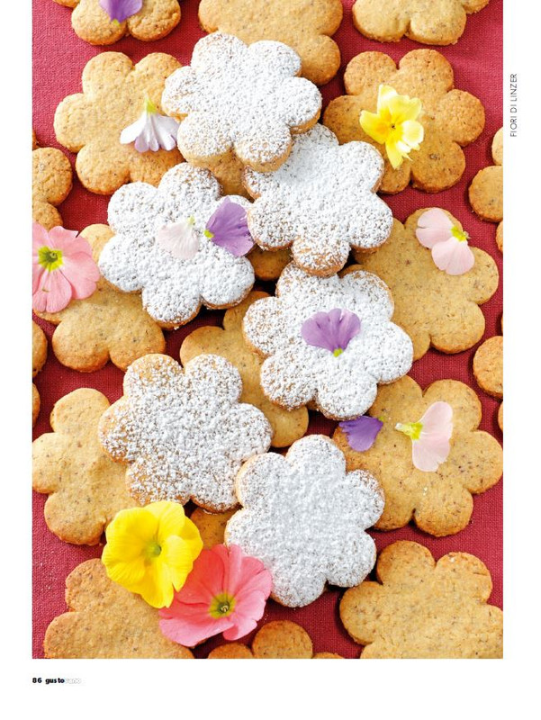 gus - Feb-Mar 2025 (11)