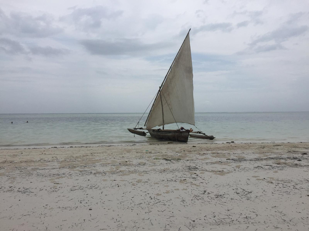 WhatsApp Image 2018-04-03 at 13.35.05(2)