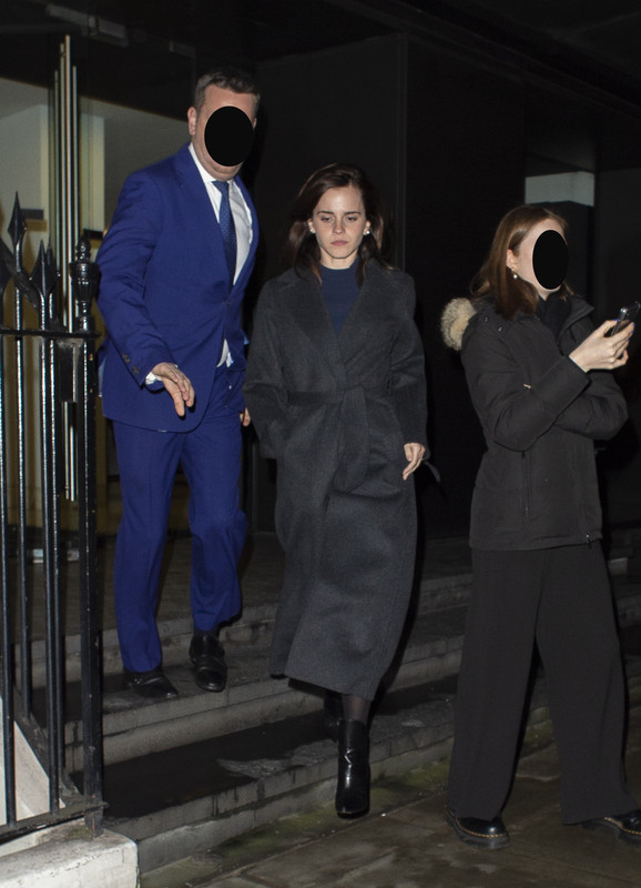 emmawatson-updates.com (1)