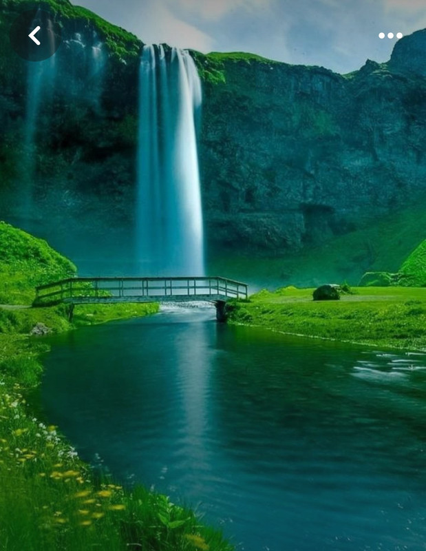 Screenshot_20240328_201354_Pinterest