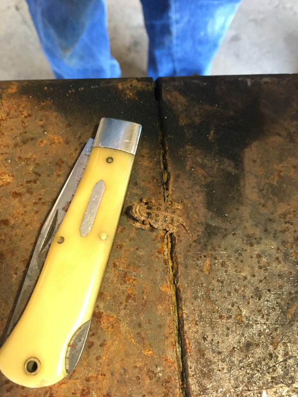 AAE1B13B-DB3F-40B6-B26C-9B7E6B9AC749