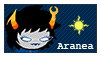 aranea