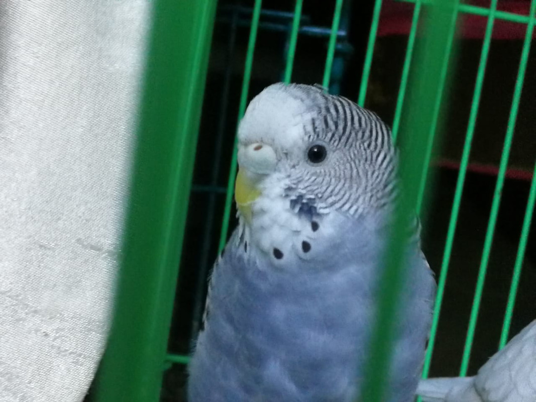 IMG-20180714-WA0005