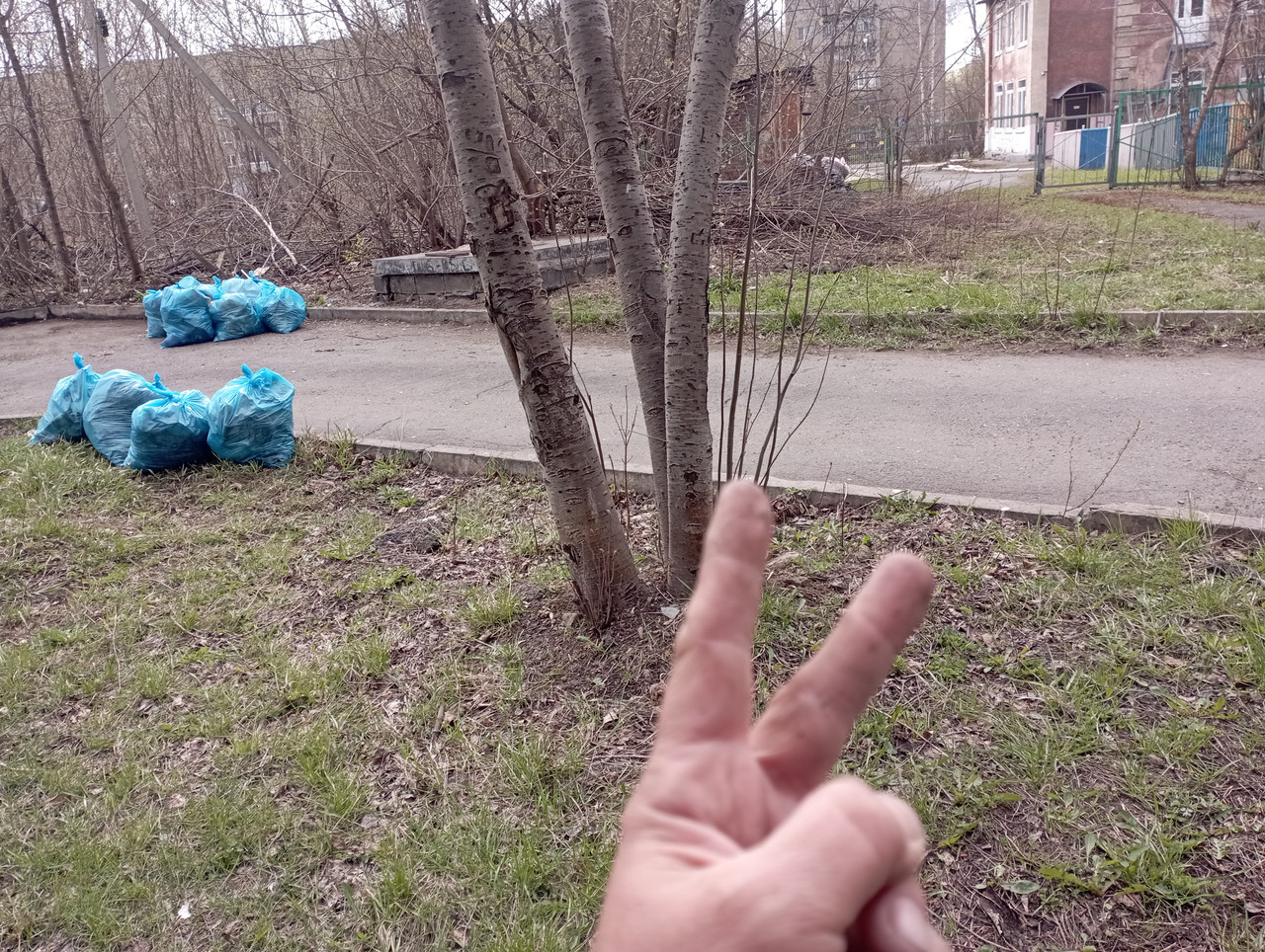 IMG-20260426-112824.jpg