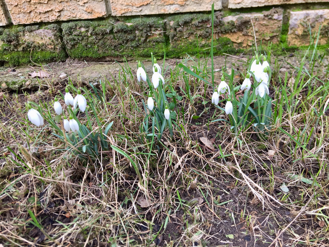 27B0346D-786A-4B26-99A9-E2DB646709C5