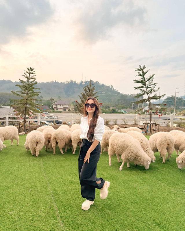 janey_suwannaket_1737458411_3550380937755162823_6570840899