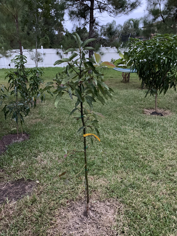 4A8E0C46-9C07-4D11-86C2-2D6B67CE3258