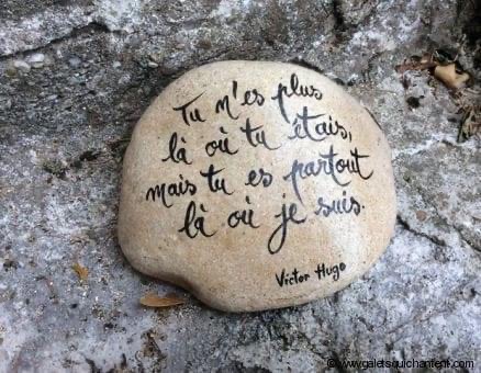 [Image: IMG-6690.jpg]