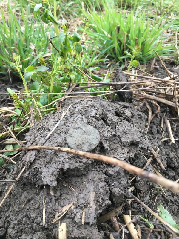 CCD8056C-598C-43CA-81E0-BC33F15D4E1A