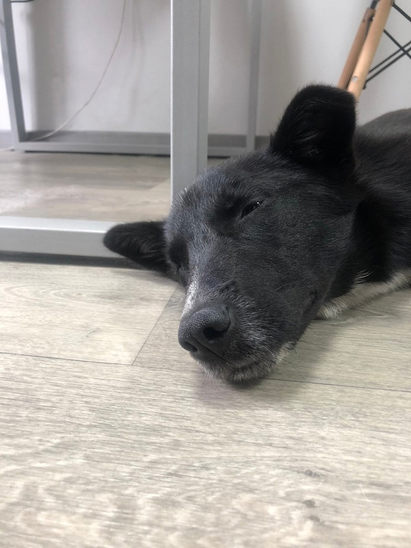 hAizchFM8snSgilqYOvdvp5BOQRceKFvLTG3us-uTbPATCvP0JE-z4yJwNtv8t3T2myu1GA1RQ5aC0l5cx4UW2Yg