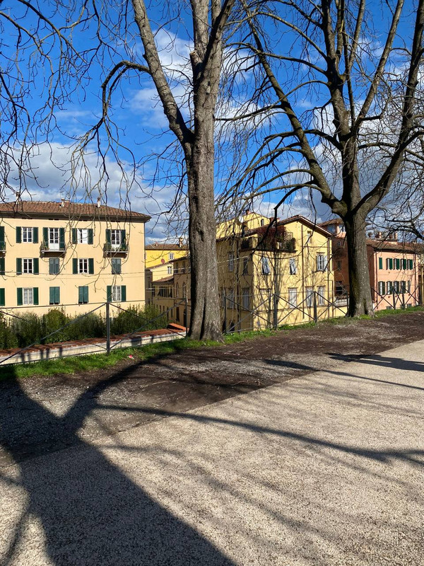 photo 2026 02 15 16 20 03