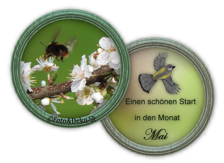 An den Beitrag angehängtes Bild: https://i.postimg.cc/fTbC0gyd/gbls6k.png
