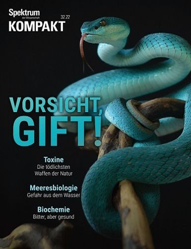 Cover: Spektrum der Wissenschaft Kompakt August No 32 2022