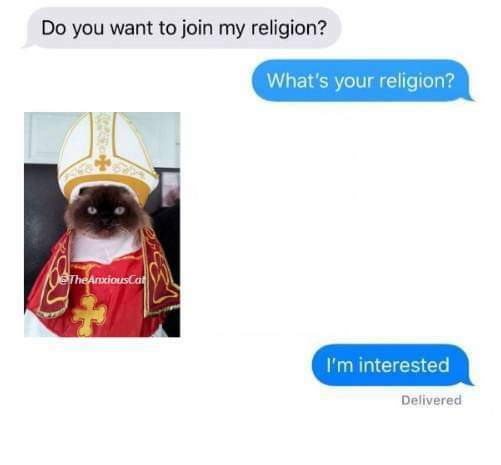 cat-religion.jpg