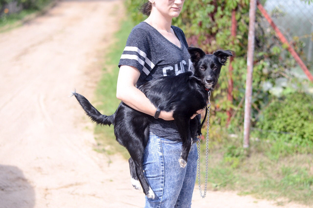 6380D3D6-7C8D-4290-A68C-68DAC58626E9